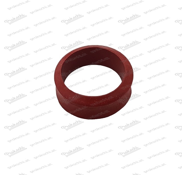 Ram pipe gasket thick