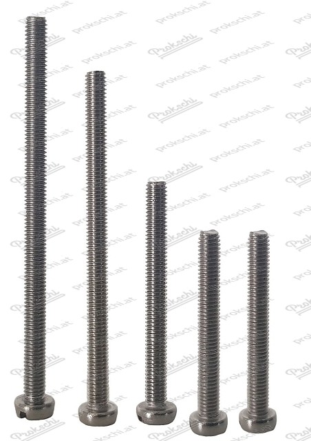Screw set for one side Celon attachment Puch 500 DL