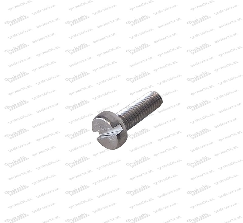 Cylindrical screw M3x10 stainless steel A2 for wart turn signal attachment