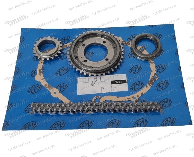 Timing chain wheel set with shaft sealing ring and seal (anti vibra), Fiat 500/126