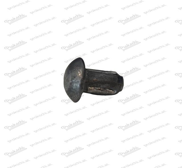 Steel hammer screw MR 3x6 - bright - e.g. for nameplate