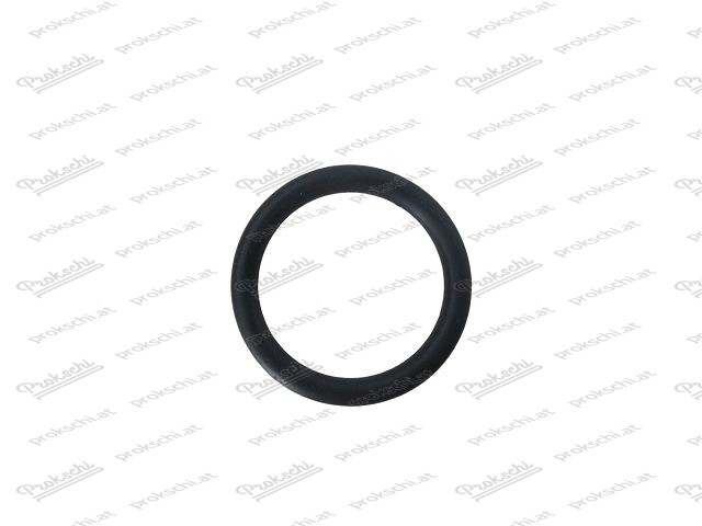 Sealing ring for pump nozzle for Zenith 32/36 NDIX