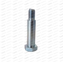 bolt for mounting rear shock absorbers