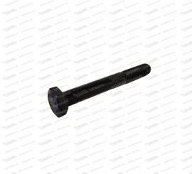 Hexagonal screw for wishbone Fiat 500 and Puch 500