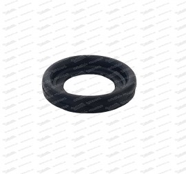 Sealing ring for Haachslager Puch