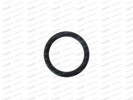 Sealing ring for pump nozzle for Zenith 32/36 NDIX