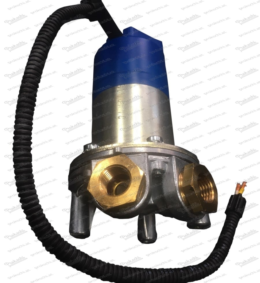 Kraftstoffpumpe 10012-8V (12V / ab 100PS)