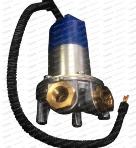 Kraftstoffpumpe 10012-8V (12V / ab 100PS)