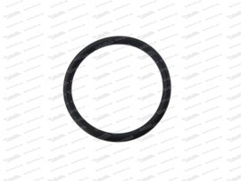 O-Ring für Düsenkammerdeckel Zenith 32/36 NDIX